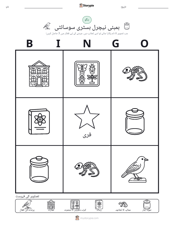 تصویری بنگو