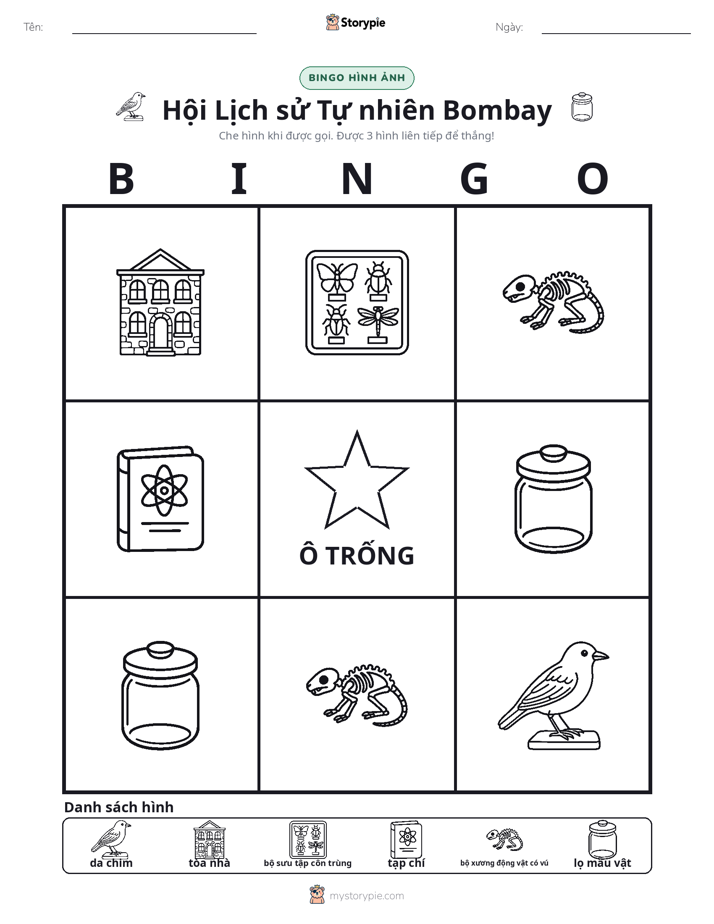 Bingo Hình Ảnh