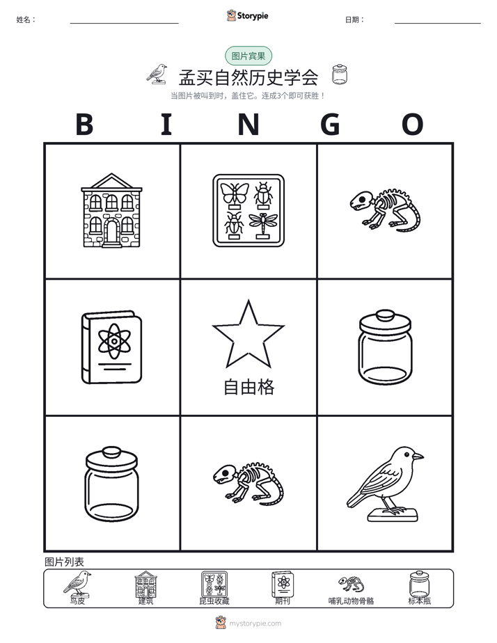 图片宾果