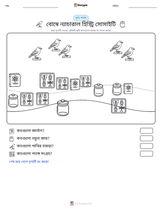গণনা দৃশ্য