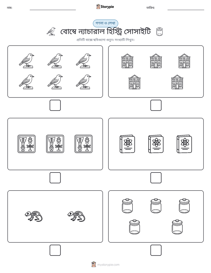 গণনা & লিখুন