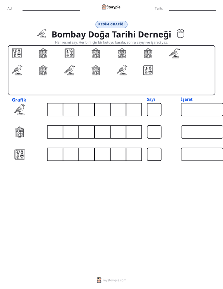Say & Grafik