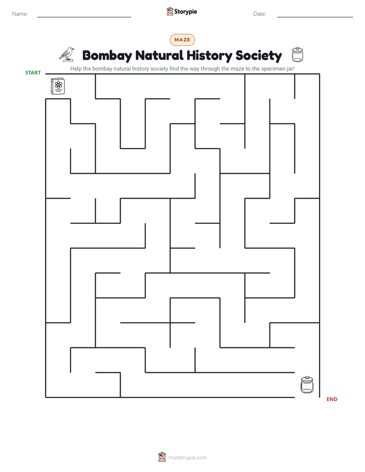 Maze