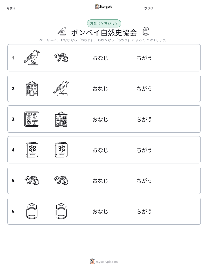 同じか違うか