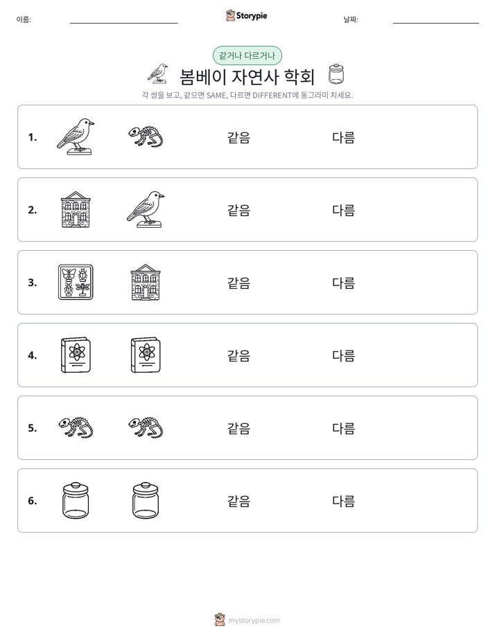 같은 것 또는 다른 것