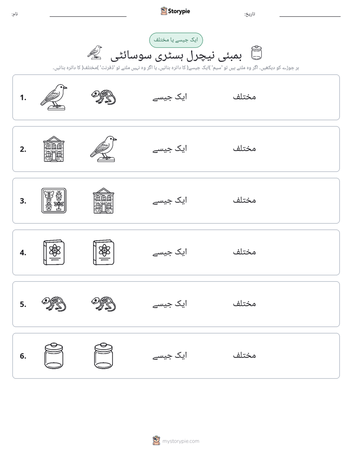 ایک جیسا یا مختلف