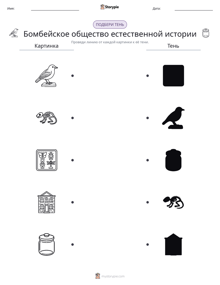 Сопоставление теней