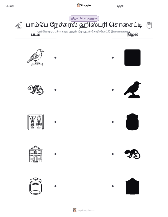 நிழல் பொருத்தம்