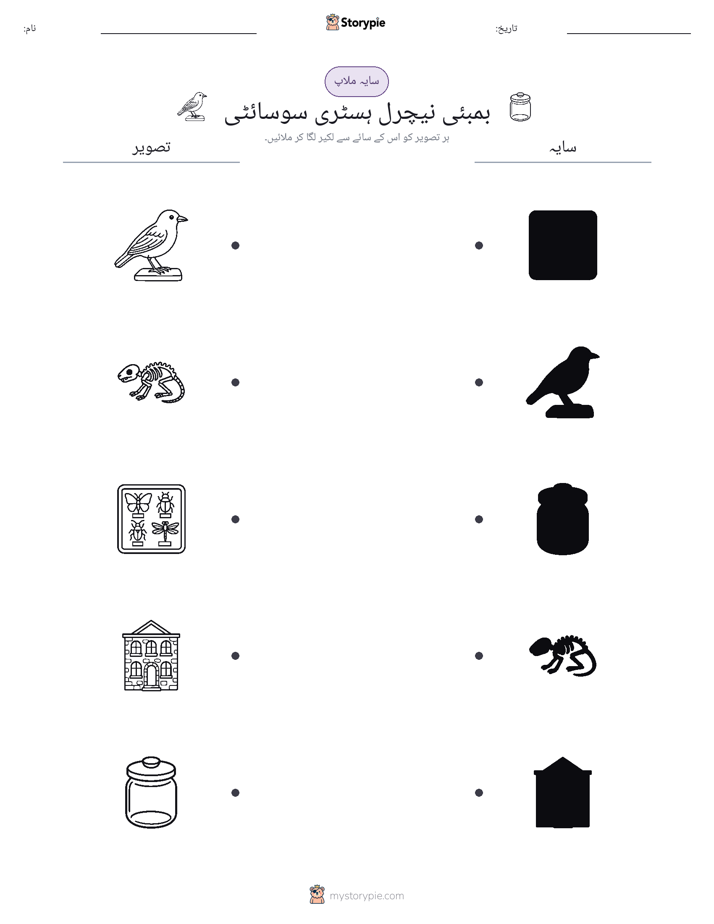 سایہ ملائیں