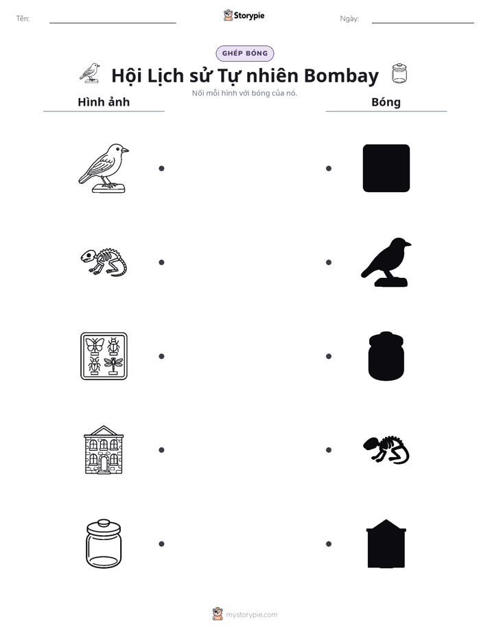 Ghép Hình Bóng