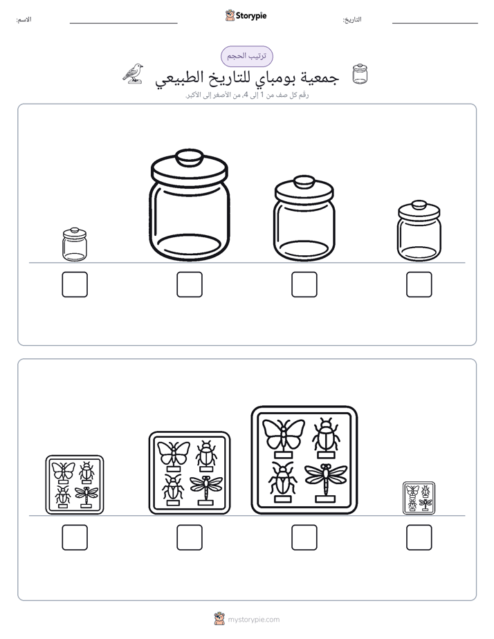 ترتيب الحجم