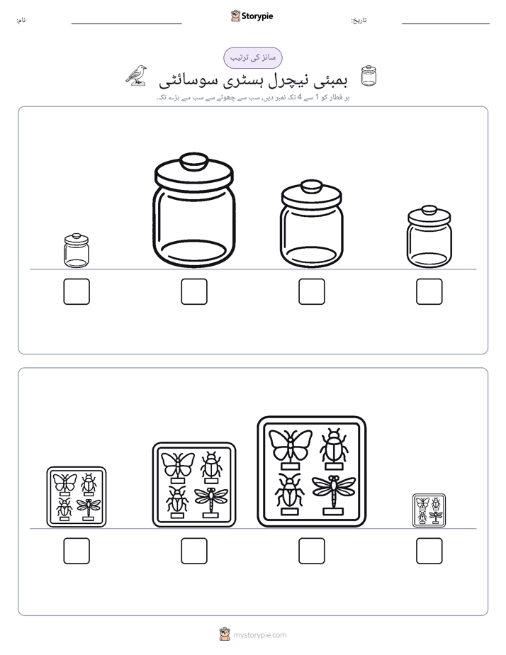 سائز کی ترتیب