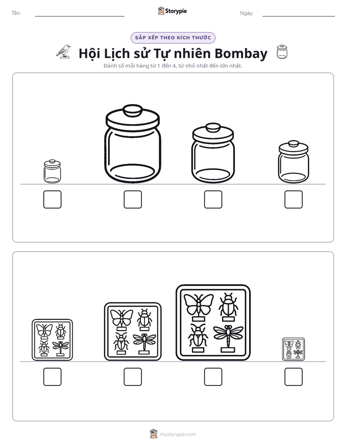 Thứ Tự Kích Thước