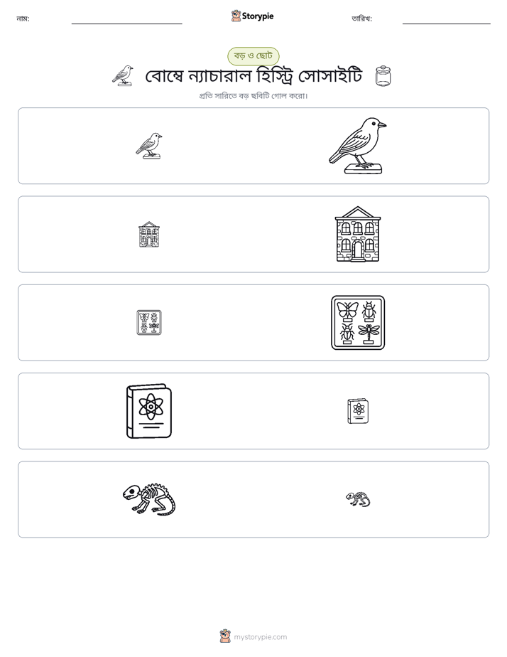 সাজানো