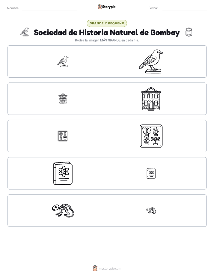 Clasificación
