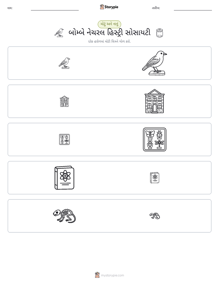 વર્ગીકરણ