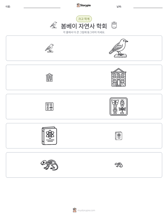 정렬