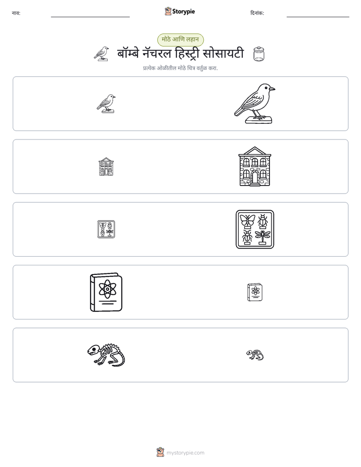 वर्गीकरण