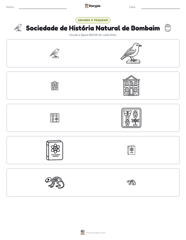 Classificação