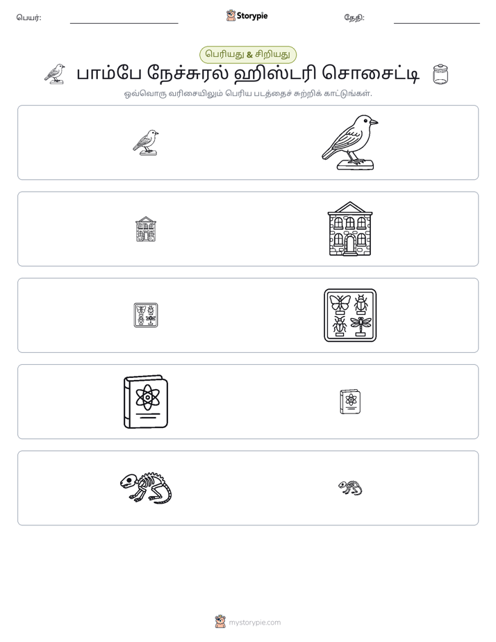 வகைப்படுத்தல்
