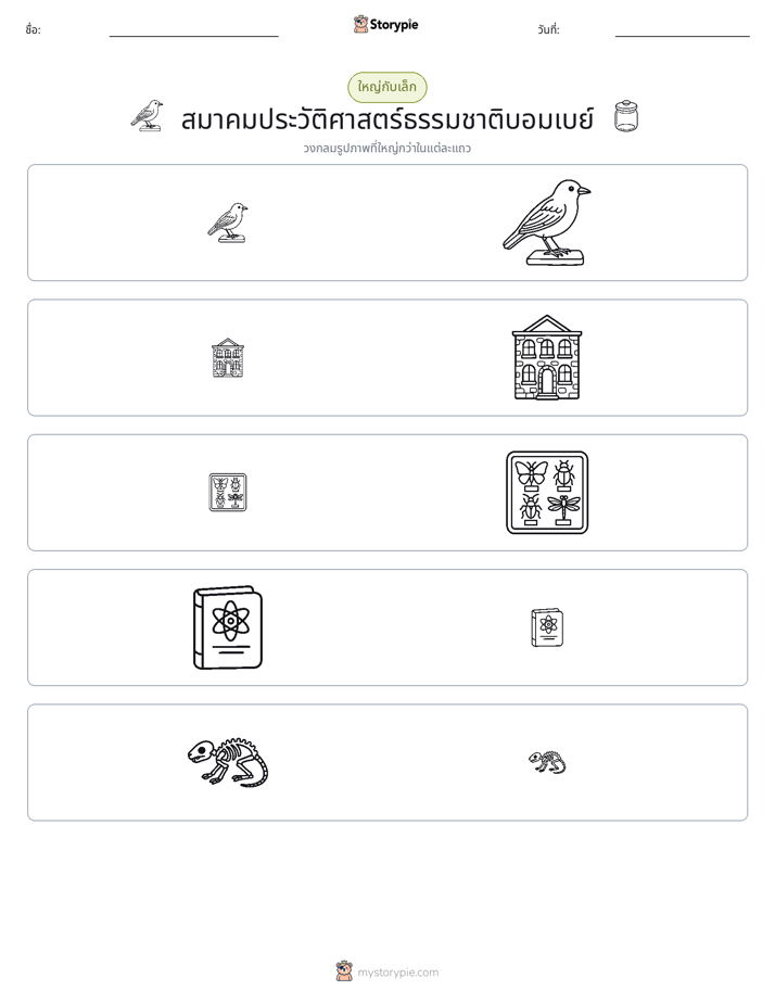 การจัดเรียง