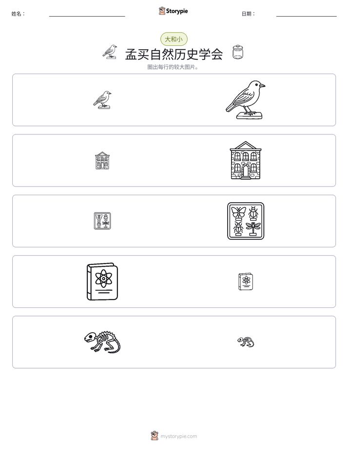分类