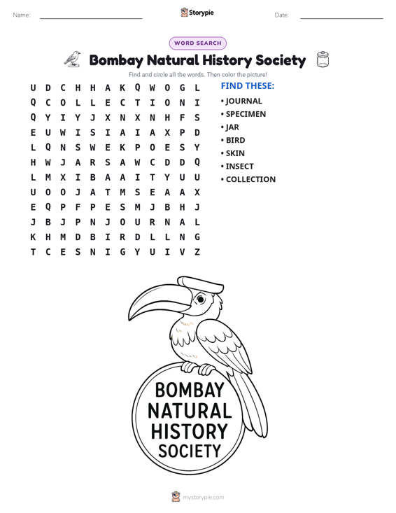 Word Search