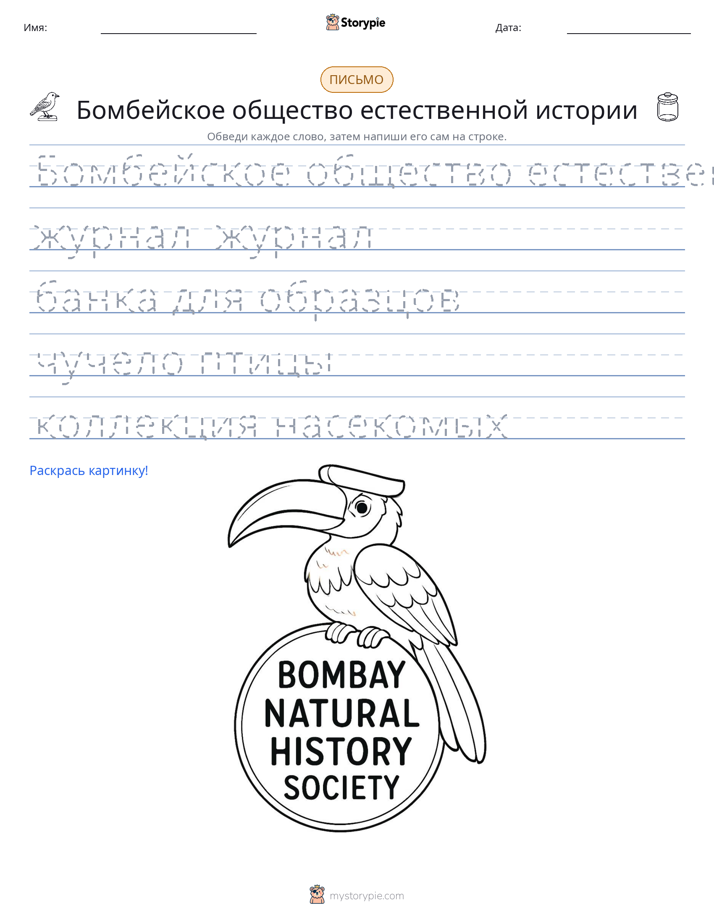 Практика письма