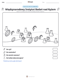 Podgląd drukowalnego arkusza ćwiczeń Międzynarodowy Instytut Badań nad Ryżem