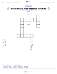 International Rice Research Institute printable worksheet preview