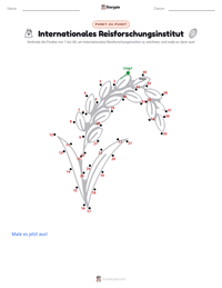 Internationales Reisforschungsinstitut druckbare Arbeitsblatt Vorschau