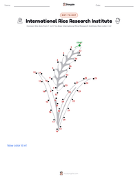 International Rice Research Institute printable worksheet preview