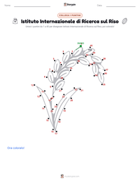 Anteprima della scheda stampabile di Istituto Internazionale di Ricerca sul Riso