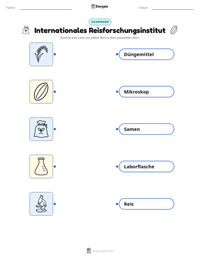 Internationales Reisforschungsinstitut druckbare Arbeitsblatt Vorschau