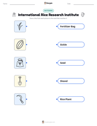 International Rice Research Institute printable worksheet preview