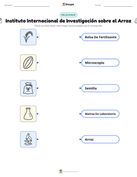 Vista previa de la hoja de trabajo imprimible de Instituto Internacional de Investigación sobre el Arroz