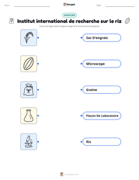Aperçu de la feuille de travail imprimable Institut international de recherche sur le riz