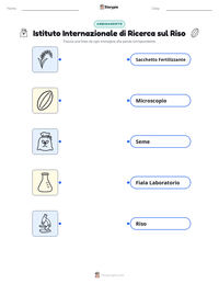 Anteprima della scheda stampabile di Istituto Internazionale di Ricerca sul Riso