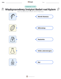Podgląd drukowalnego arkusza ćwiczeń Międzynarodowy Instytut Badań nad Ryżem