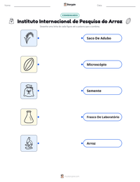 Prévia da folha de atividades imprimível Instituto Internacional de Pesquisa do Arroz