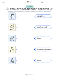 சர்வதேச நெல் ஆராய்ச்சி நிறுவனம் அச்சிடக்கூடிய வேலைப்பதிவின் முன்னோட்டம்