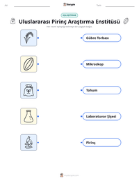 Uluslararası Pirinç Araştırma Enstitüsü yazdırılabilir çalışma sayfası önizlemesi