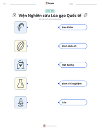 Xem trước tài liệu in sẵn Viện Nghiên cứu Lúa gạo Quốc tế