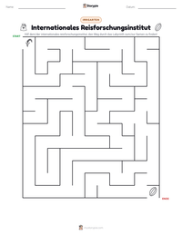 Internationales Reisforschungsinstitut druckbare Arbeitsblatt Vorschau