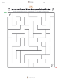 International Rice Research Institute printable worksheet preview