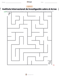 Vista previa de la hoja de trabajo imprimible de Instituto Internacional de Investigación sobre el Arroz