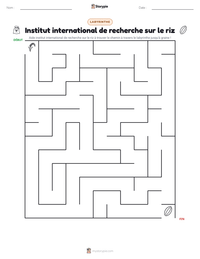 Aperçu de la feuille de travail imprimable Institut international de recherche sur le riz