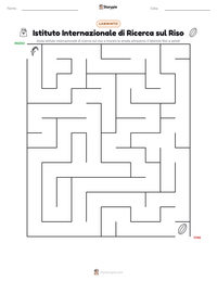 Anteprima della scheda stampabile di Istituto Internazionale di Ricerca sul Riso