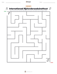 Internationaal Rijstonderzoeksinstituut afdrukbare werkblad voorbeeld