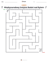 Podgląd drukowalnego arkusza ćwiczeń Międzynarodowy Instytut Badań nad Ryżem